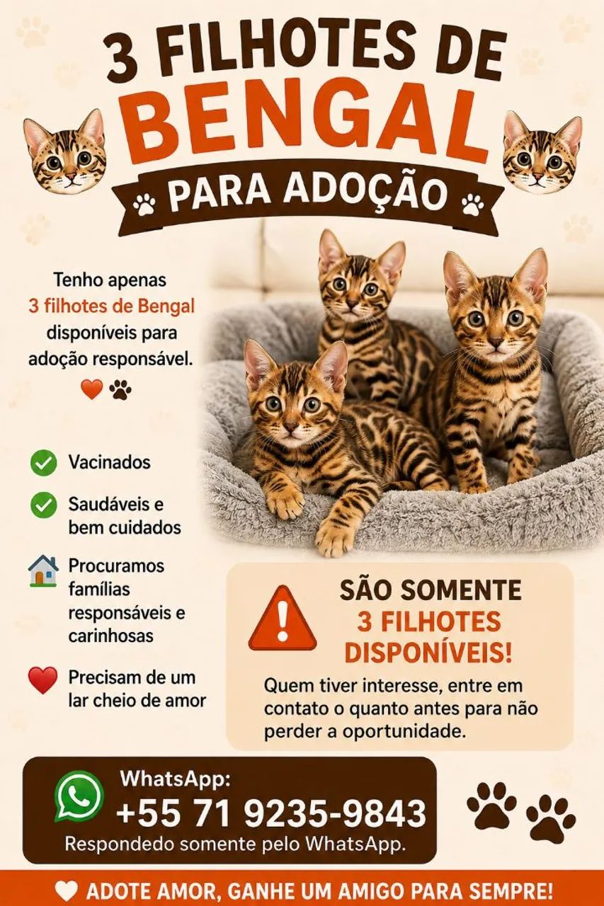 ? 3 Filhotes Gatos de Raça Bengal para Adoção Responsável ?<br><br>