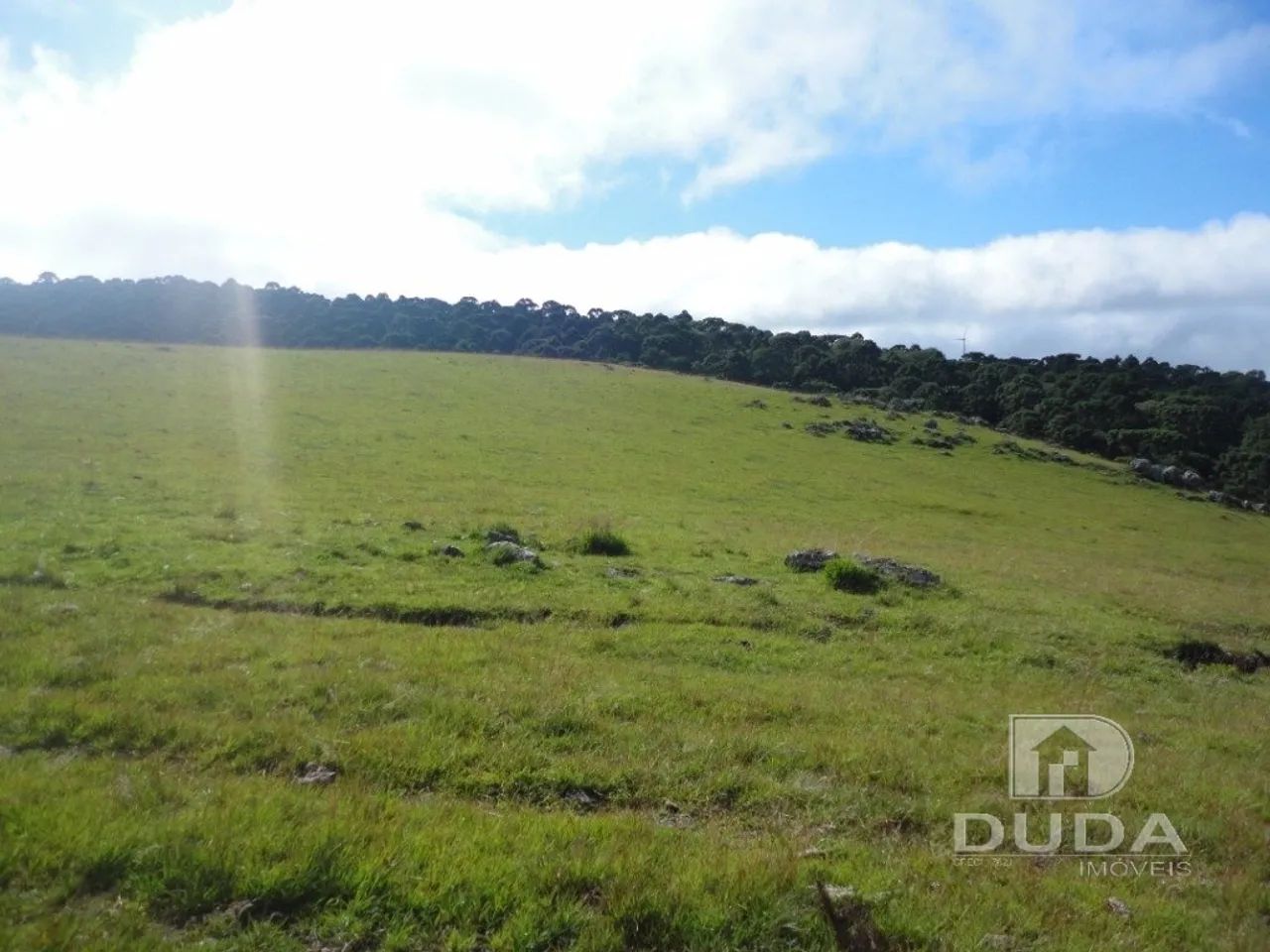 Terreno Rural em Bom Jardim da Serra - Foto 2