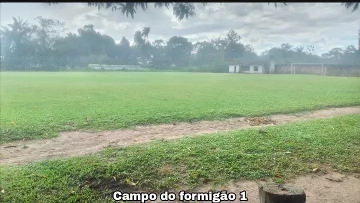 Área Estrada Curuçambá 33.000m² - Foto 3