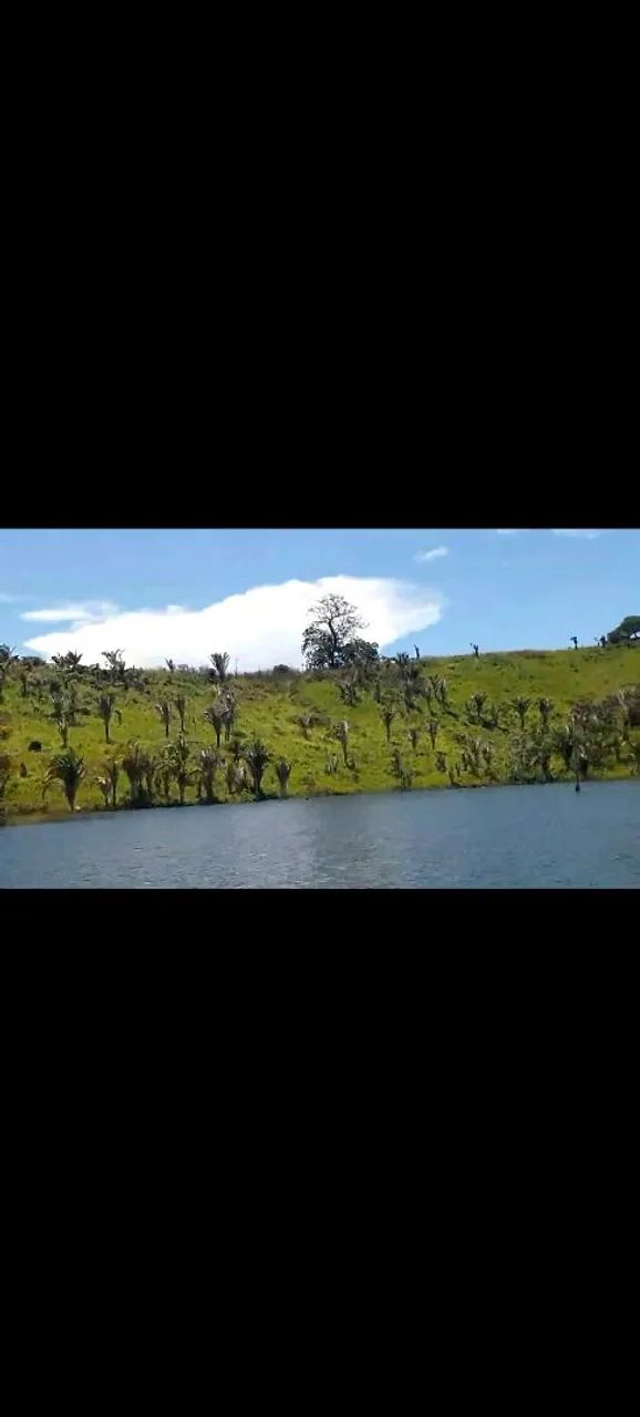 Vende-se ilha fazenda 