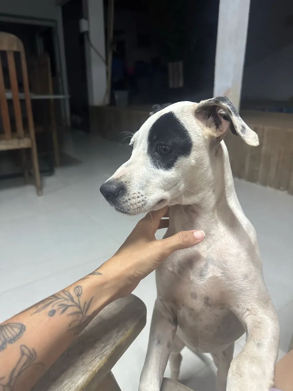 Doação  - Foto 2