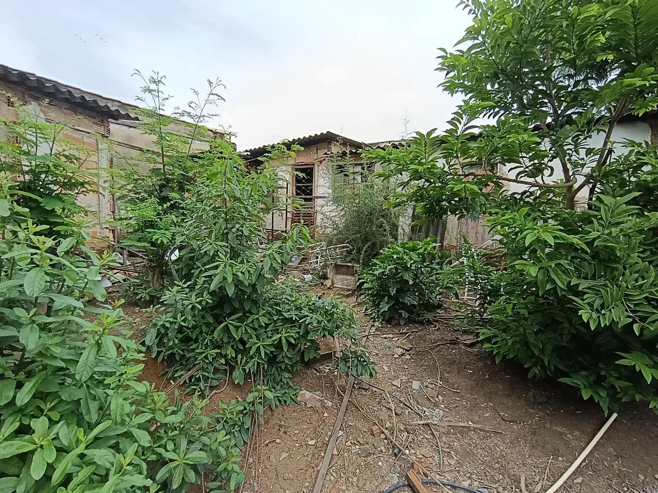 Pequena chácara dentro da cidade  - Foto 3
