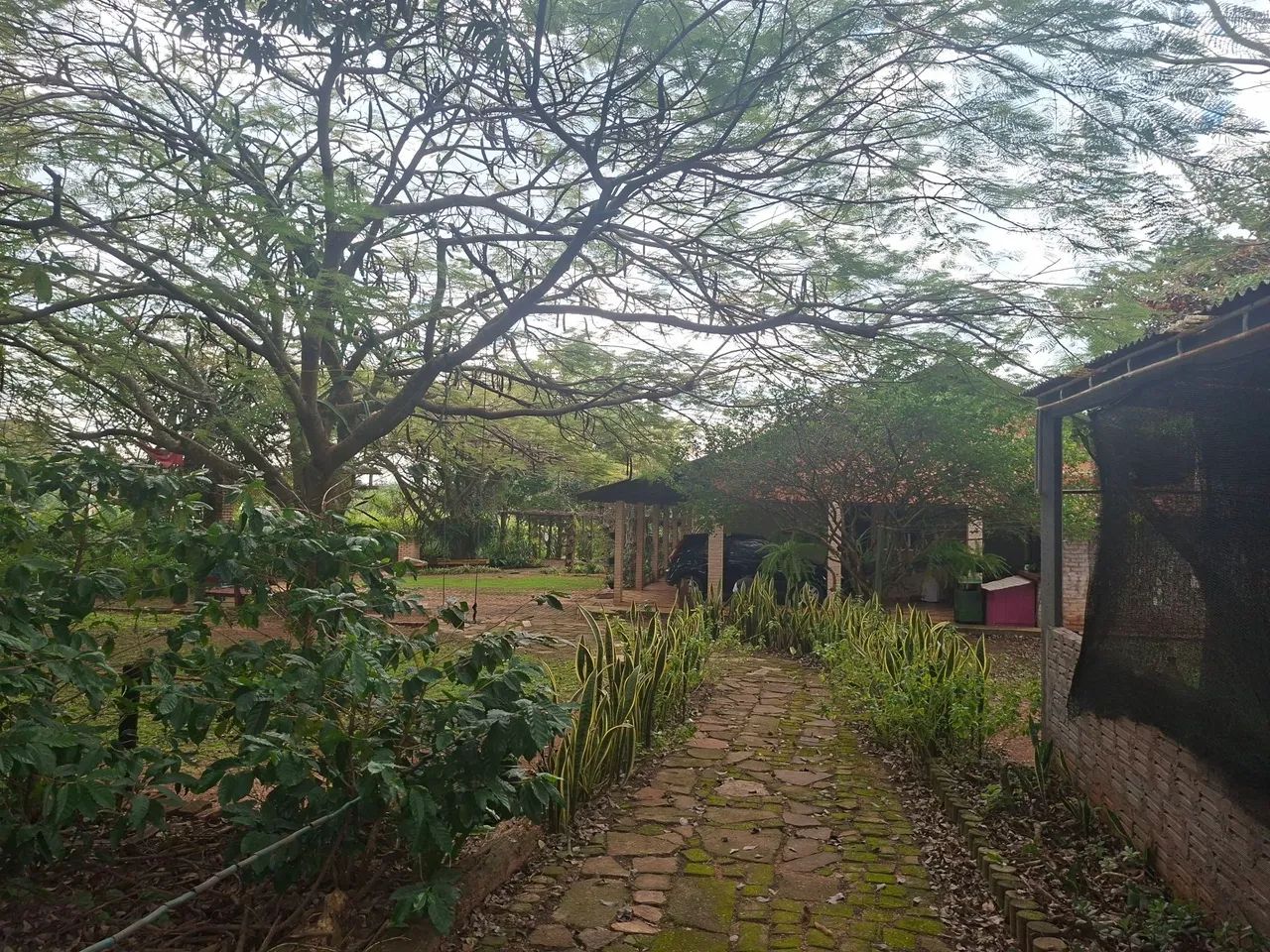 Linda Chácara um pedaço do Paraiso não perca a chance de ter um Paraíso particular. - Foto 12