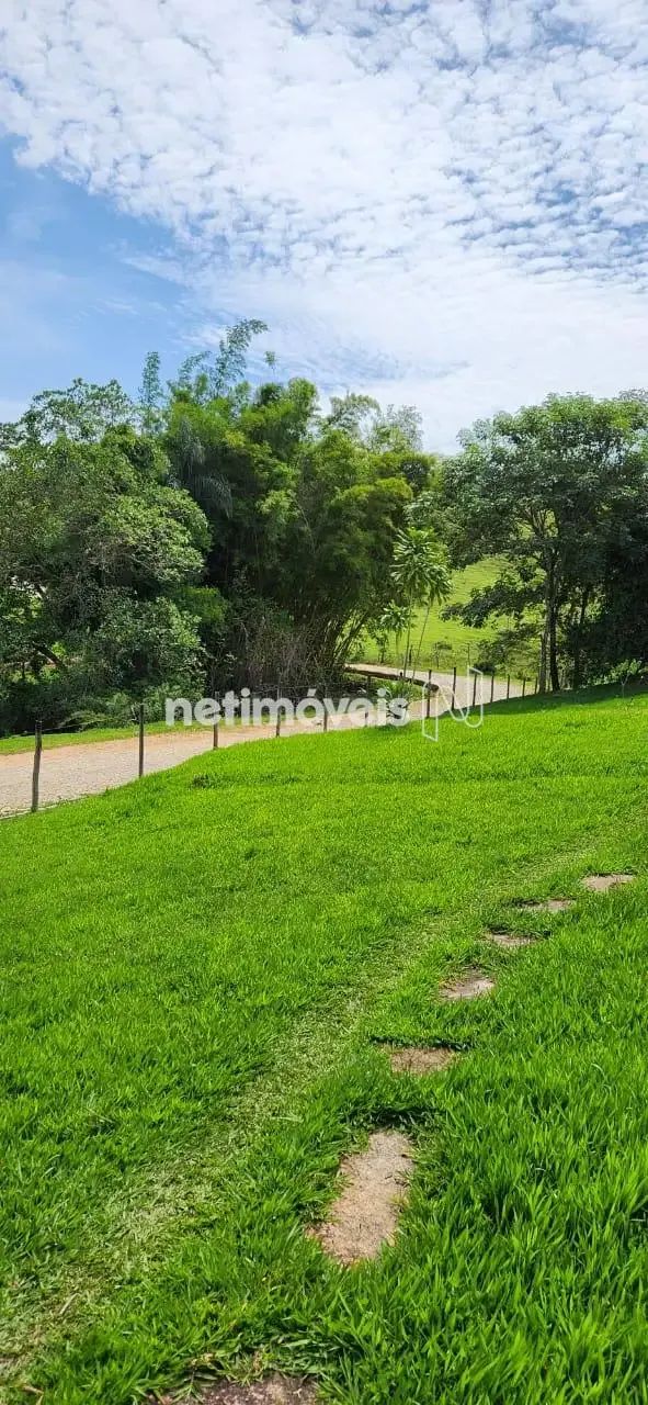 Venda Lote-Área-Terreno São Caetano da Moeda Moeda - Foto 4