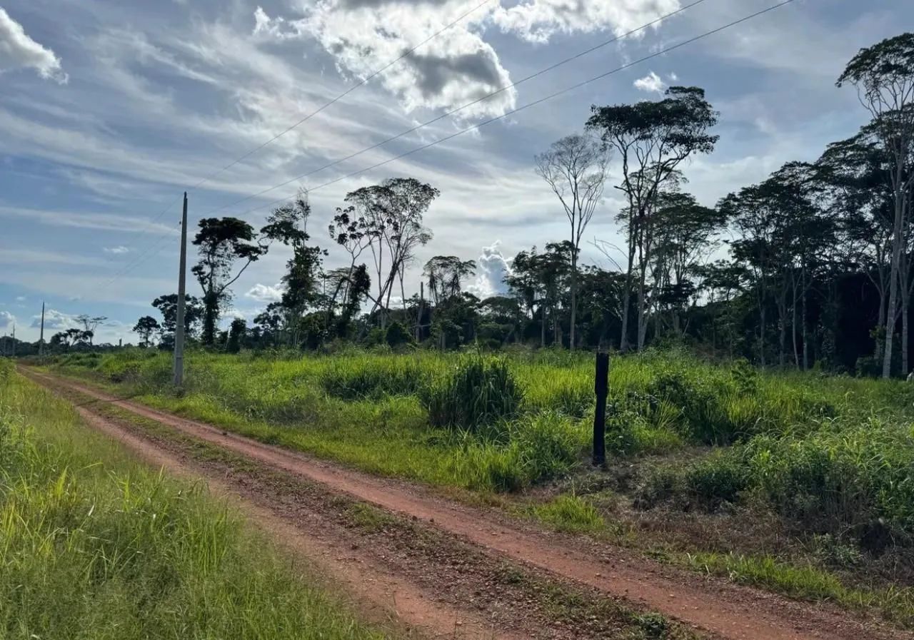 Chácara a venda - Foto 3