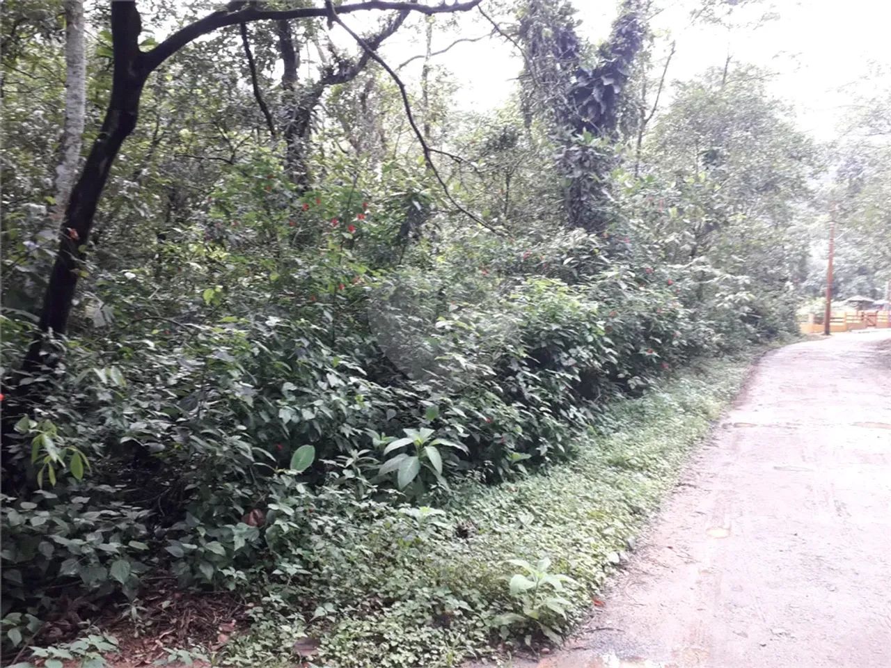 Terreno à venda em Verde mar - SP - Foto 4