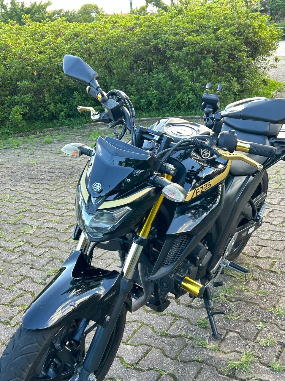 Yamaha Fazer 250 2019 - Personalizada e Impecável  - Foto 5