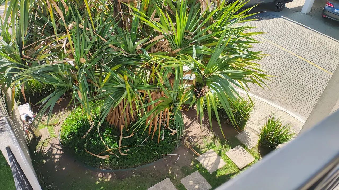 Foto - Taubaté - Vila Areao