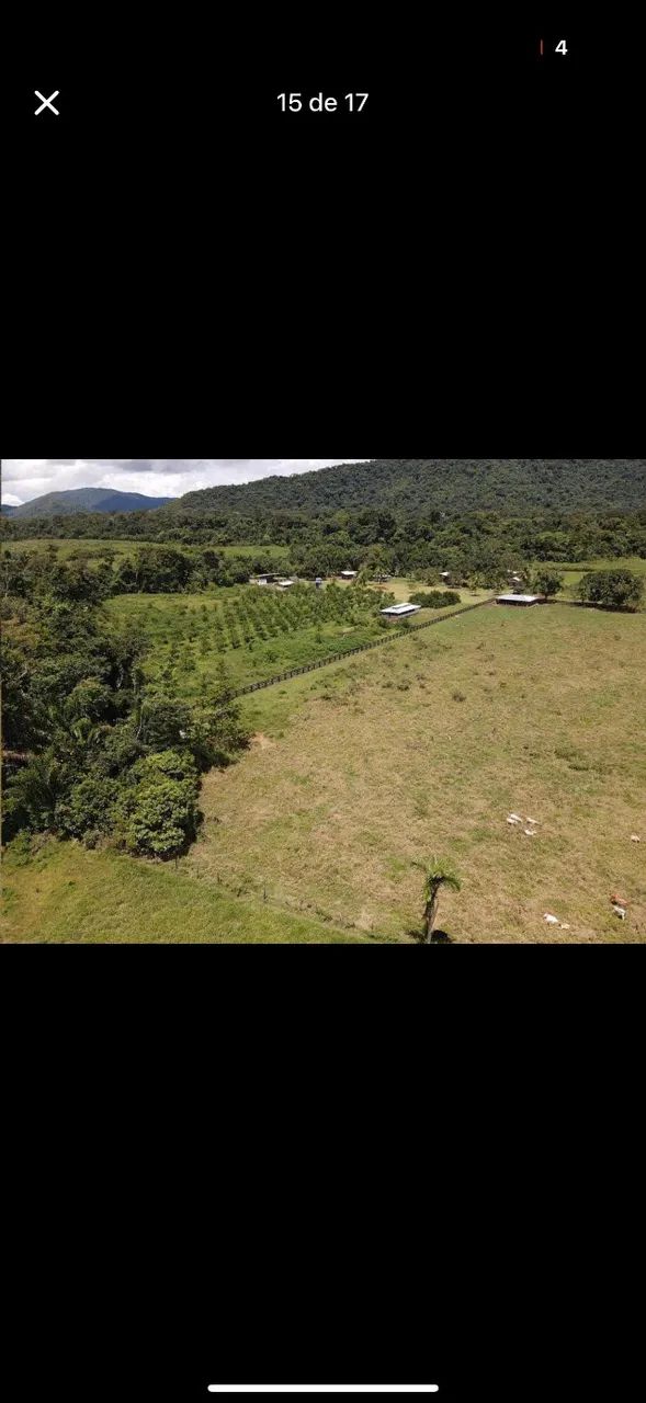 Fazenda no Apiau - Foto 4