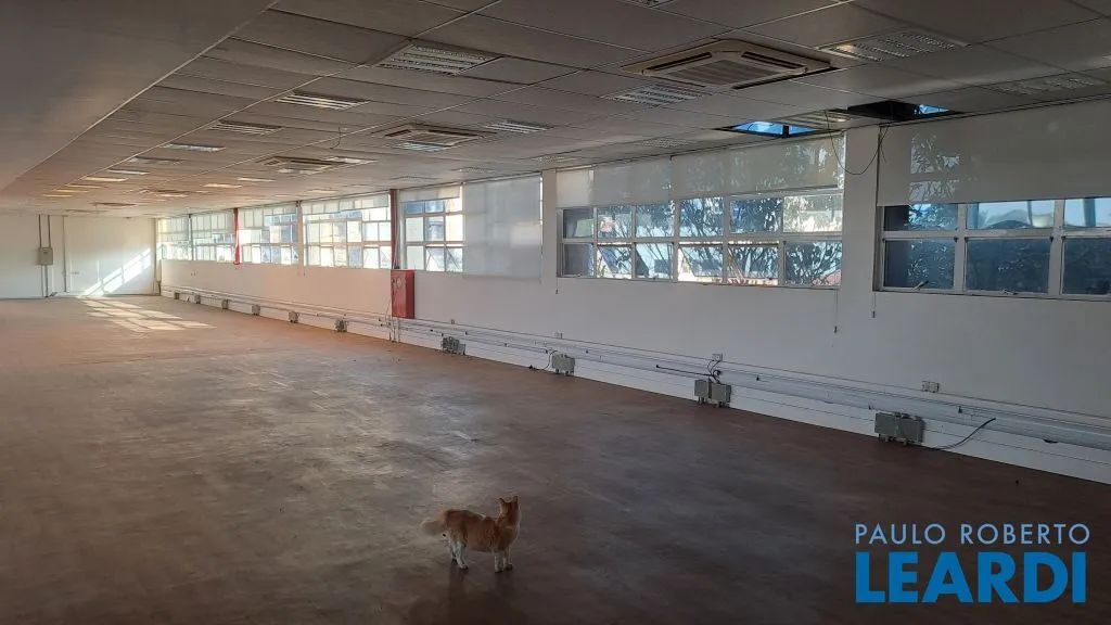 COMERCIAL - BUTANTÃ - SP - Foto 2
