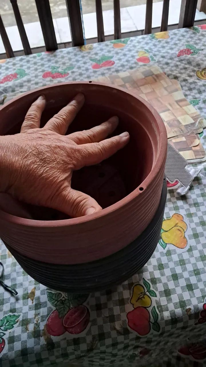 Cuias para plantas  - Foto 5