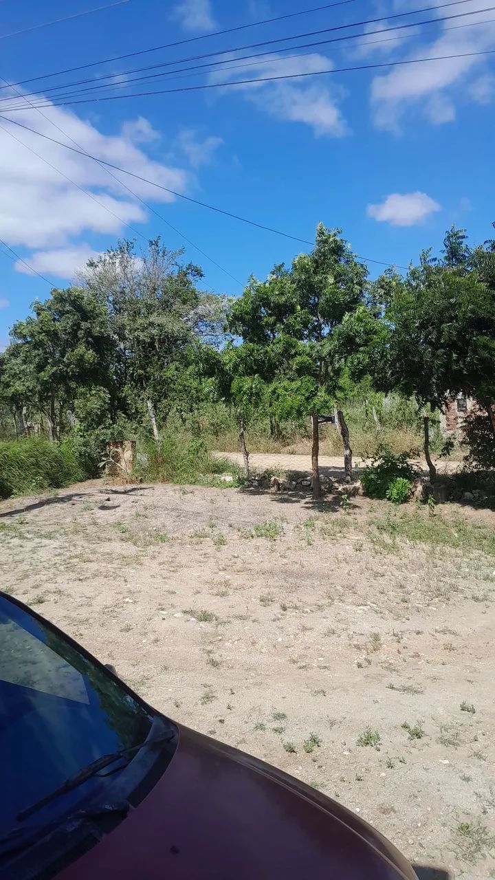 Venda de Casa - Foto 3