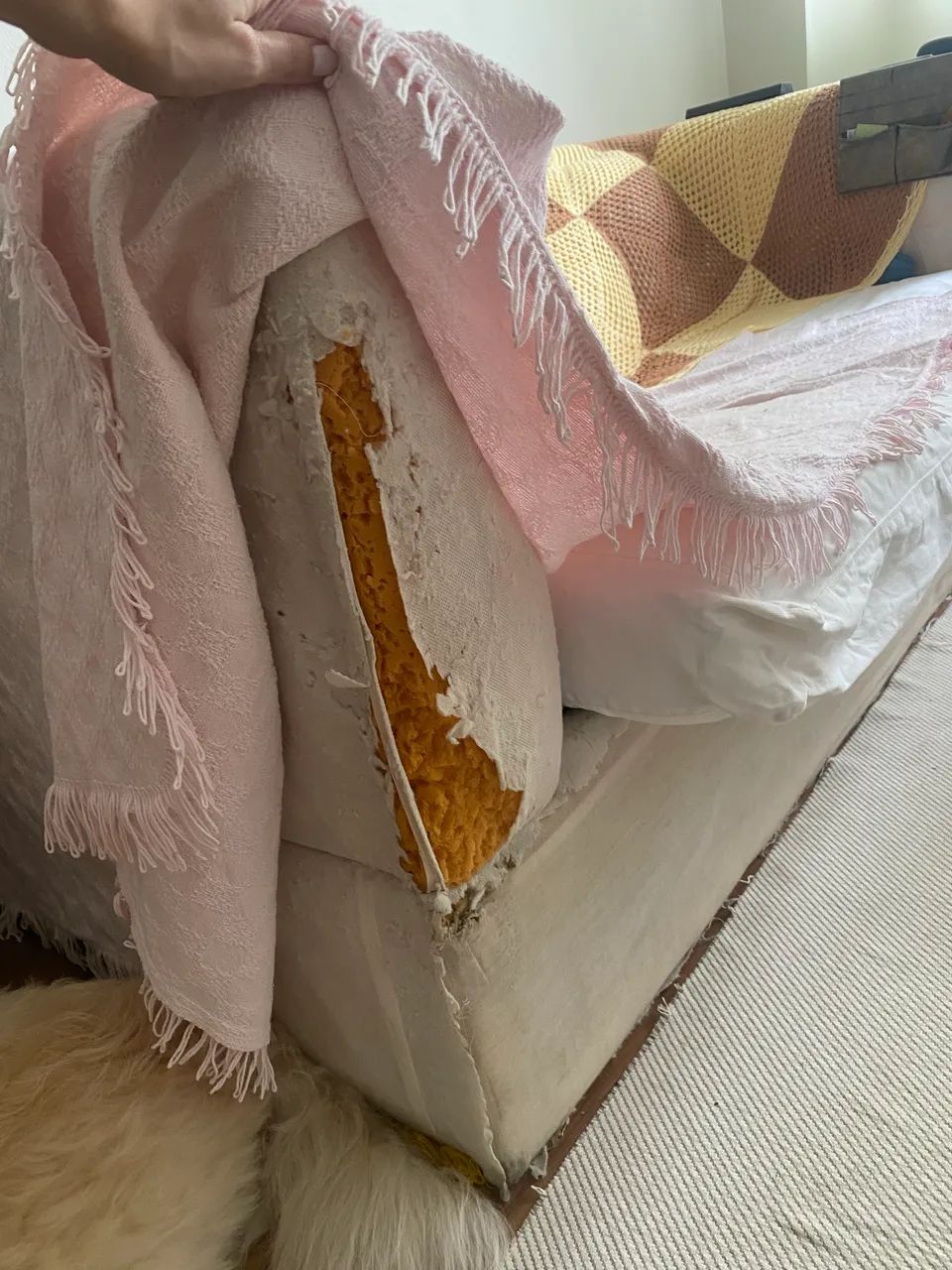 DOAÇÃO !!!!! sofá cama  - Foto 5