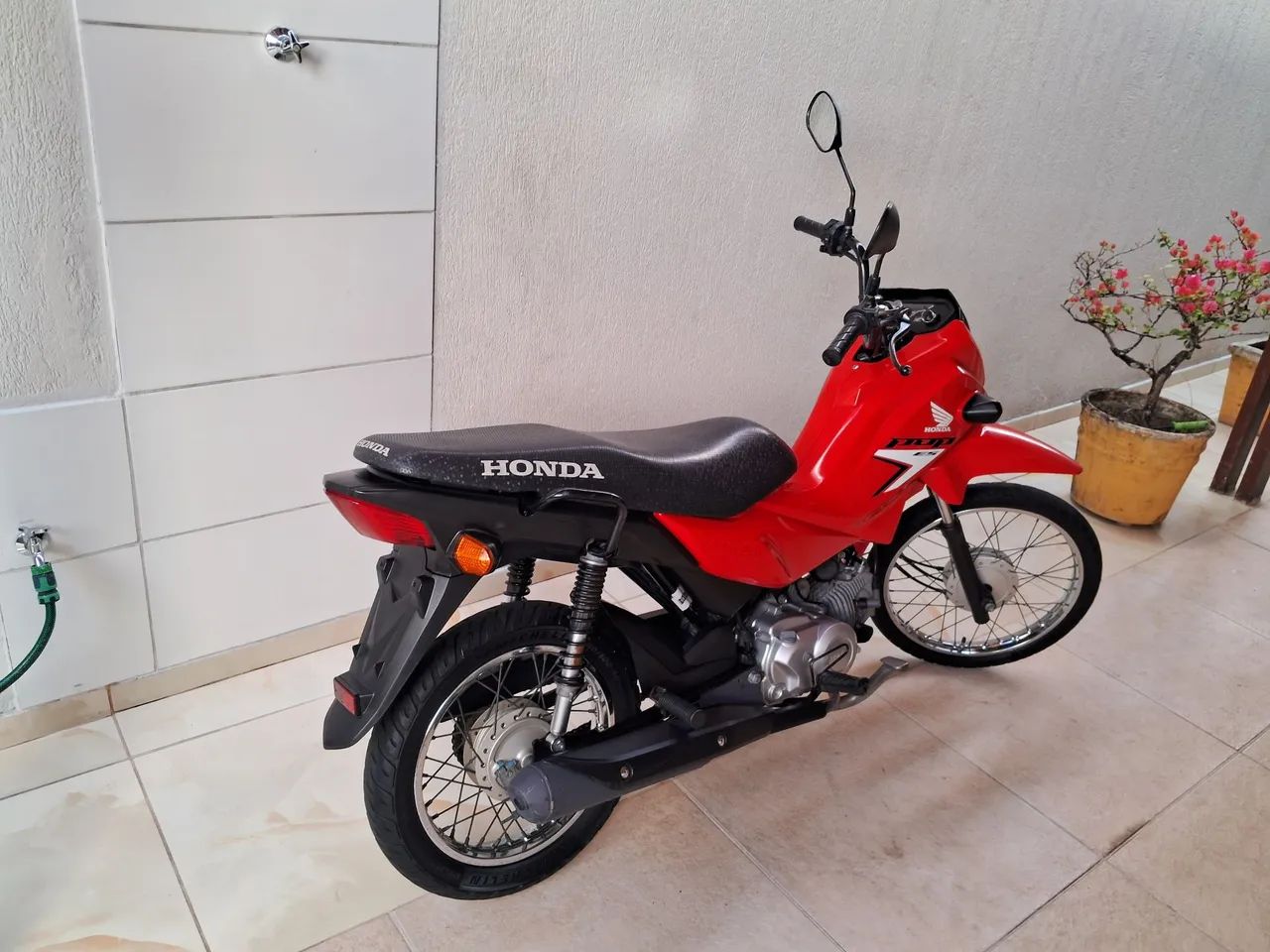 Honda Pop110i 2025 - Foto 2