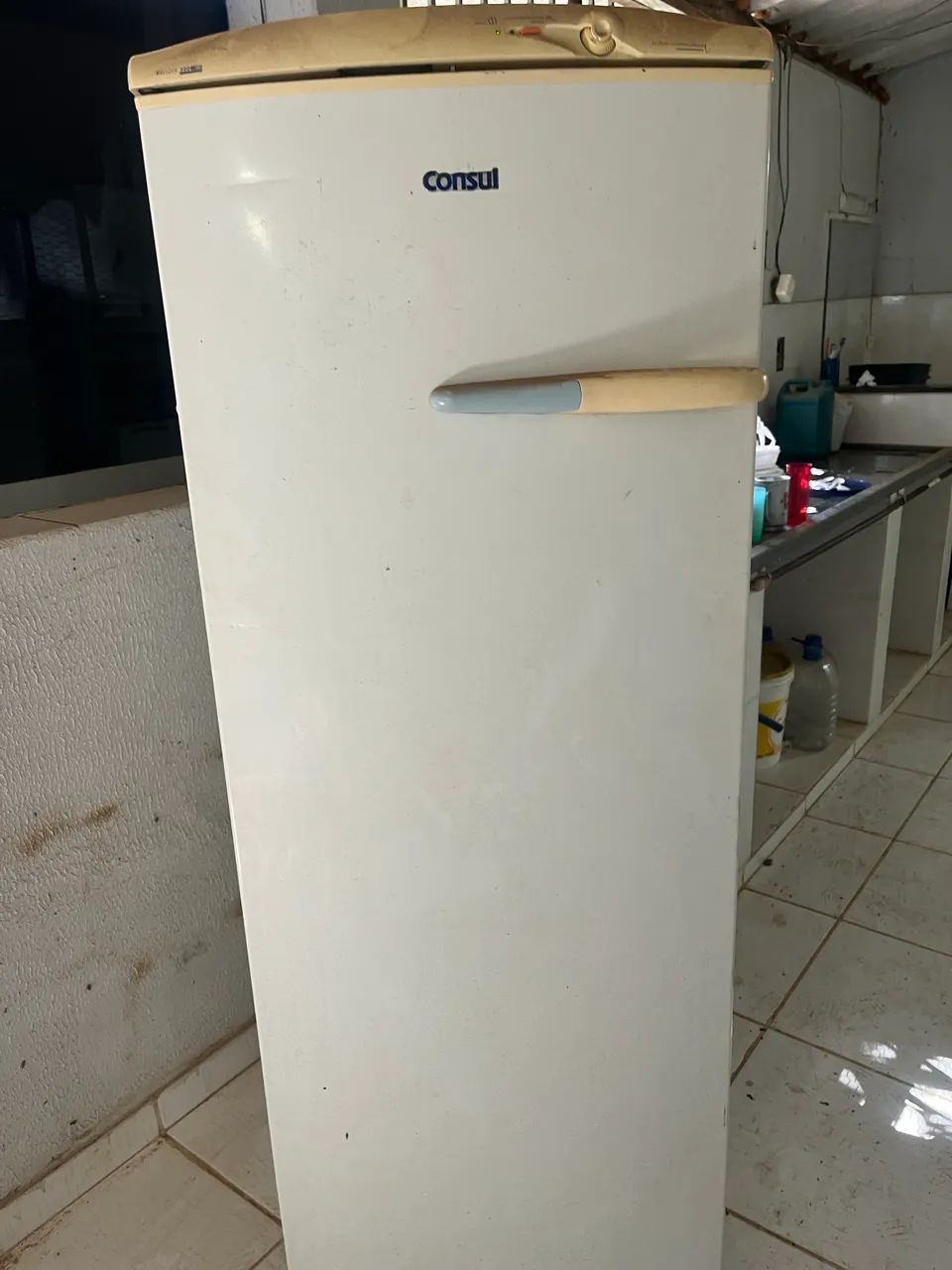 Freezer Vertical Consul