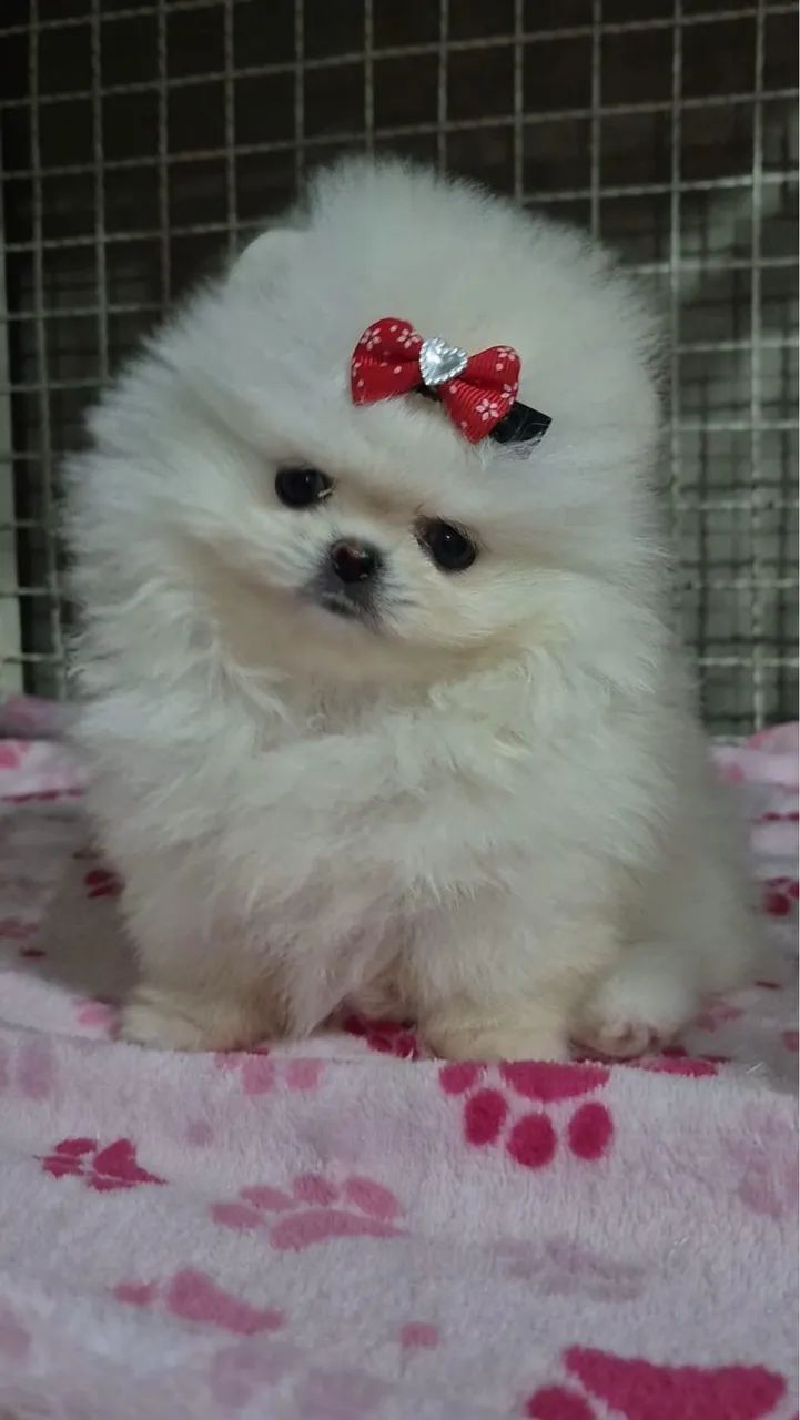 Lulu