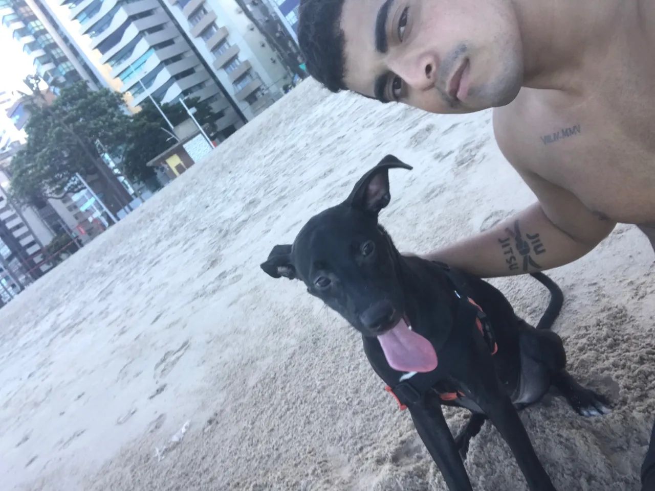 Cachorro  - Foto 3