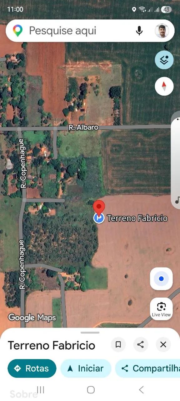 Terreno 1000m em Caldas Novas - Foto 2