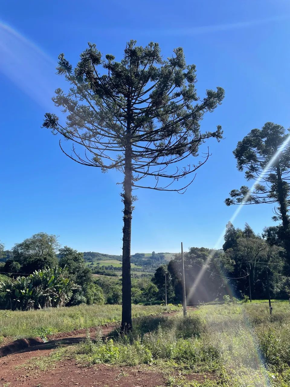 Foto - Blumenau - Vila Nova