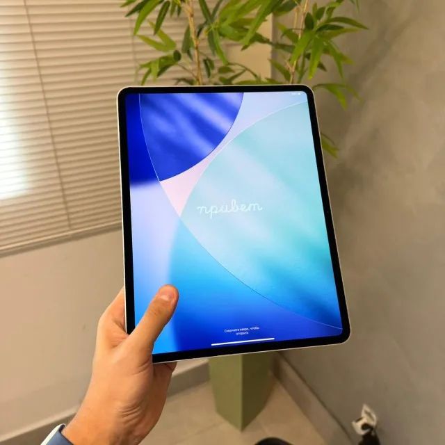 iPad Pro 13? M4 Wifi + Cellular 256 GB | 6 Meses Garantia | Loja