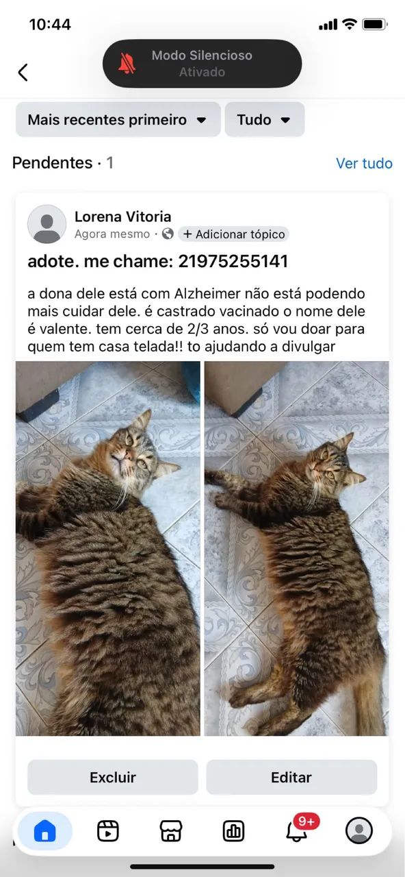adote