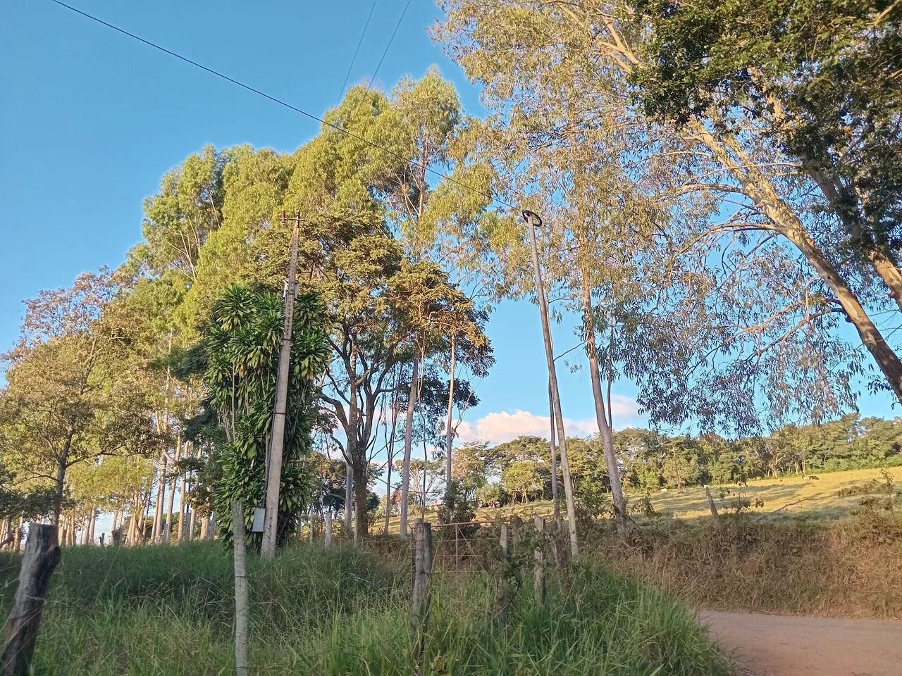 Lote com alicerce pra uma casa  - Foto 3