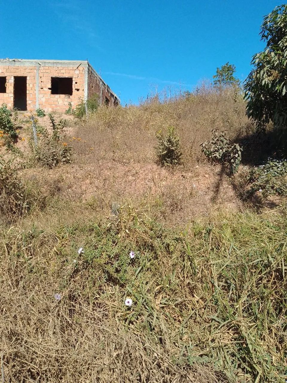 Lote - Foto 2