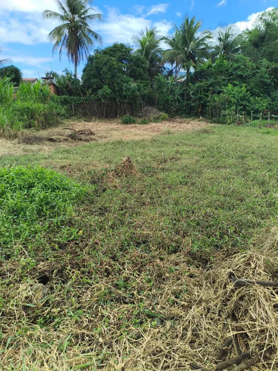 Área para chácara ou loteamento. - Foto 4