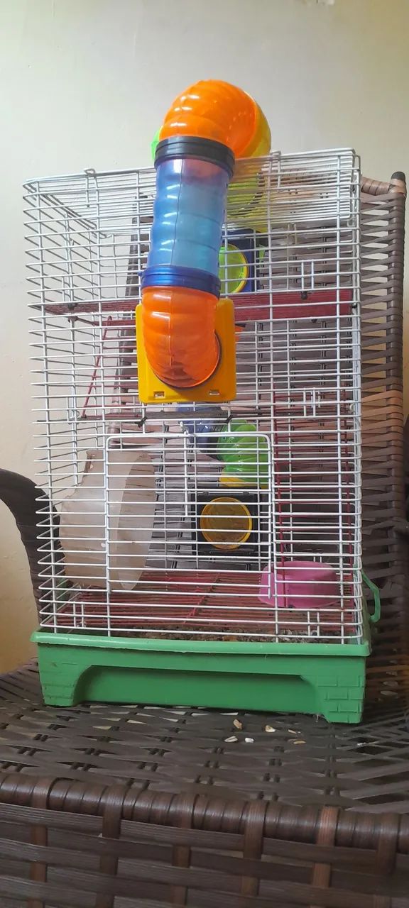 Gaiola para Hamster 415080010817873922