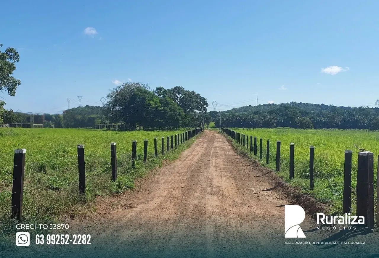 FAZENDA COMPLETA | ARGILA ACIMA DE 25% | PRONTA PARA PRODUZIR - Foto 4