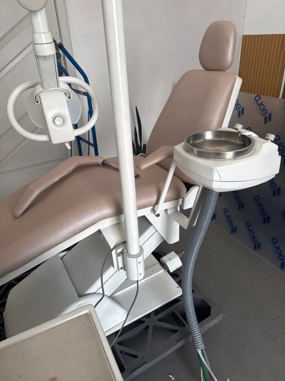 Maca dentista 