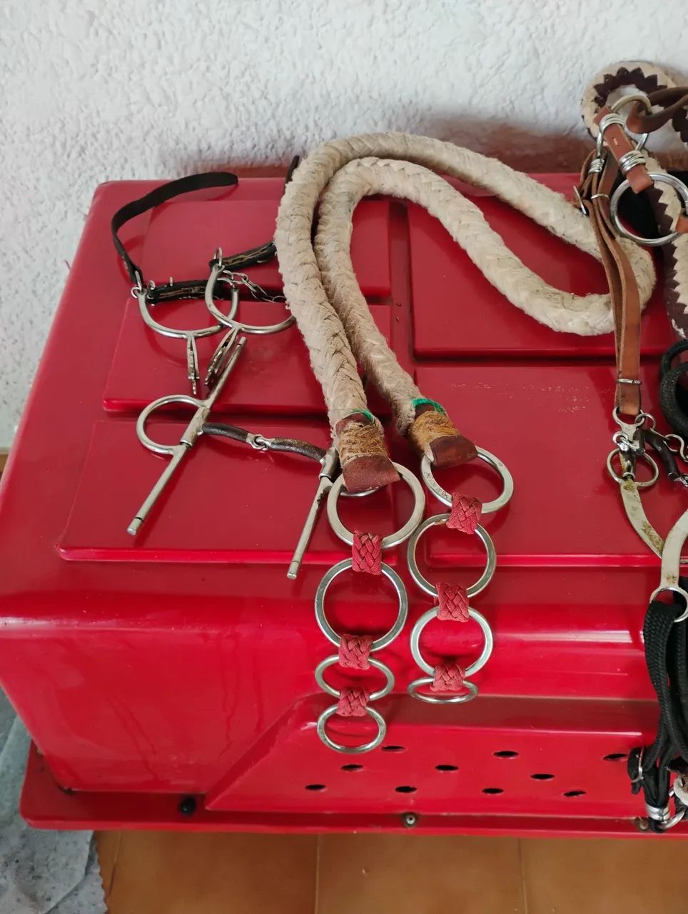 Cela para cavalos - Foto 3