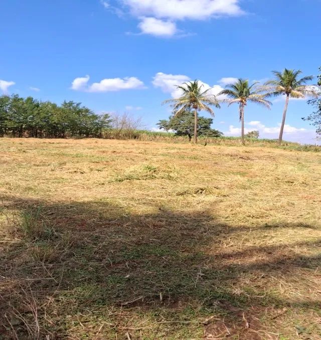 Sitio a venda sp Regiao Ribeirao Preto Sales de Oliveira montado 4.3 ha   - Foto 9