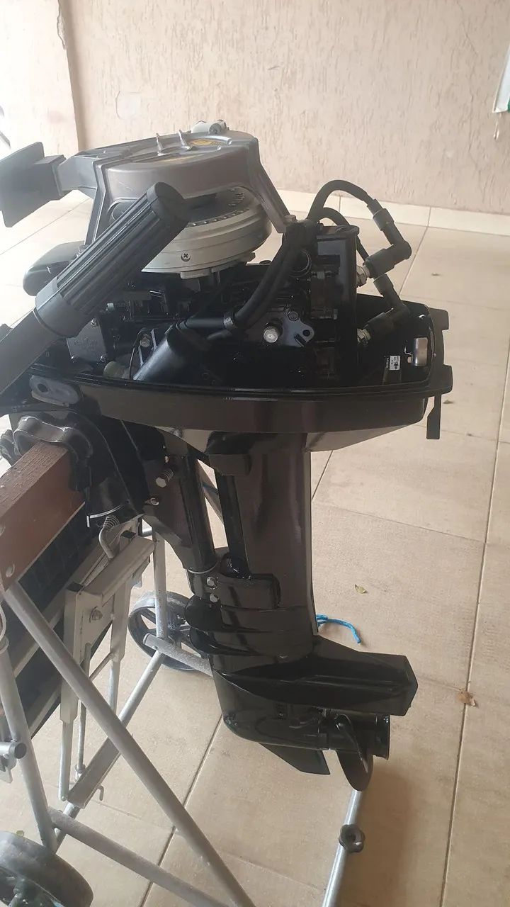 Motor mercury 9.9