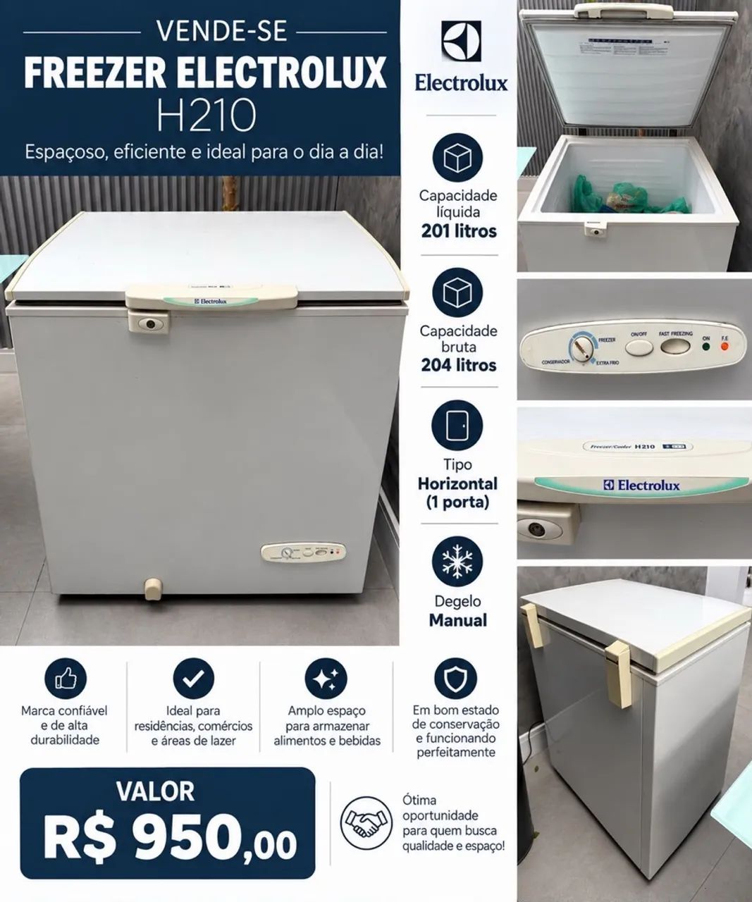 Freezer Electrolux H210