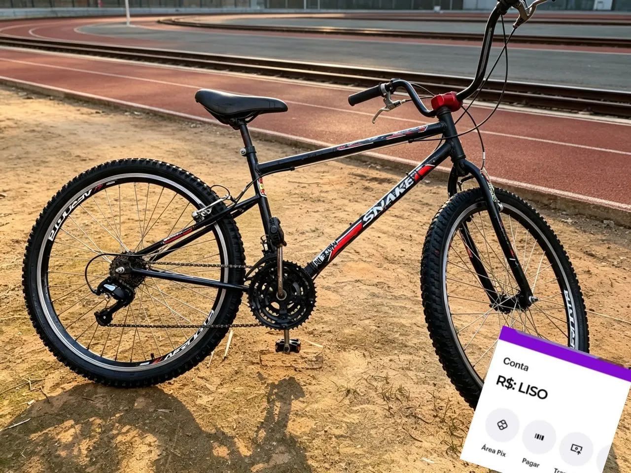 Bicicleta 