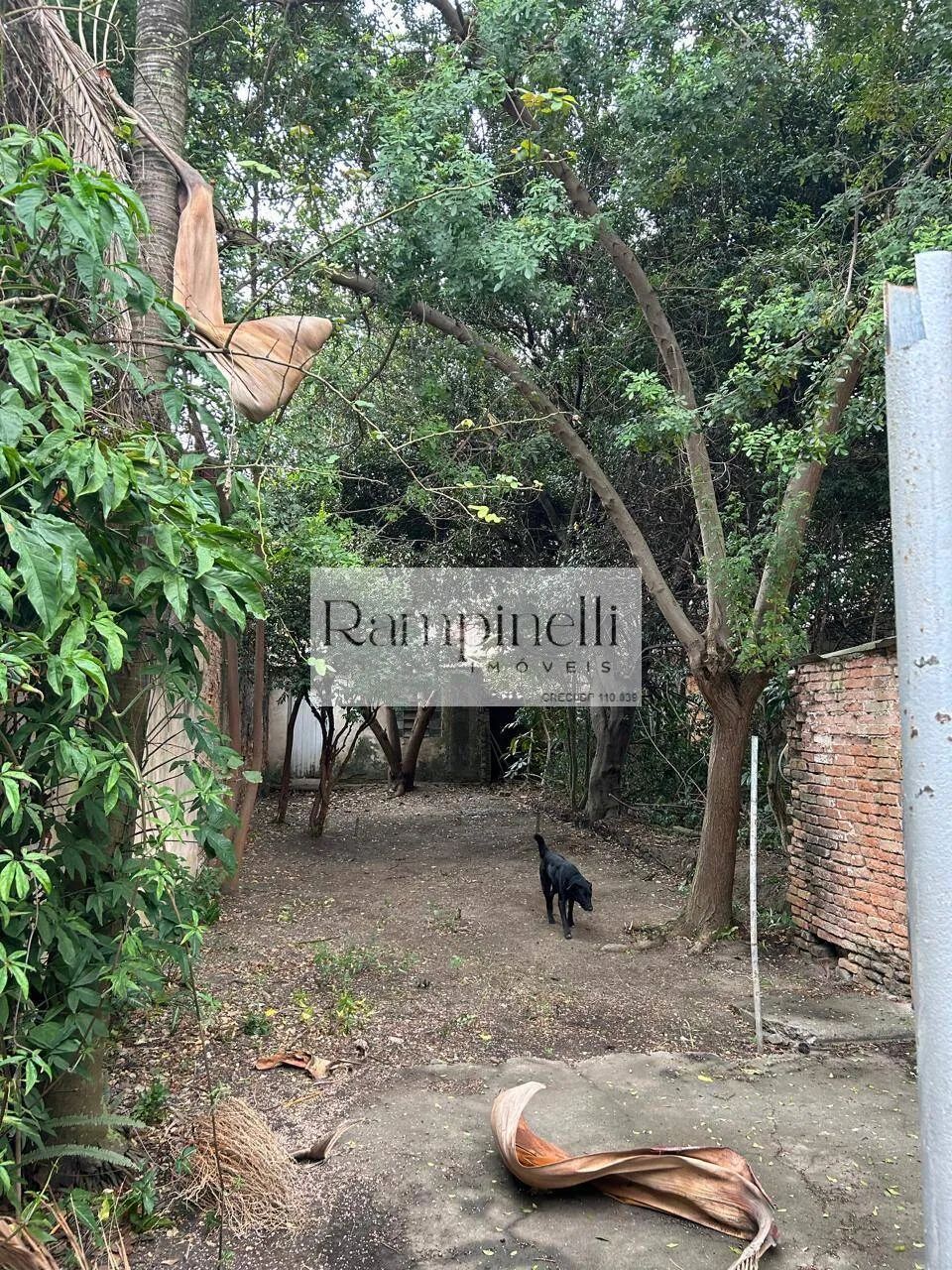 CASA ANTIGA VALE TERRENO EM PERDIZES - Foto 4