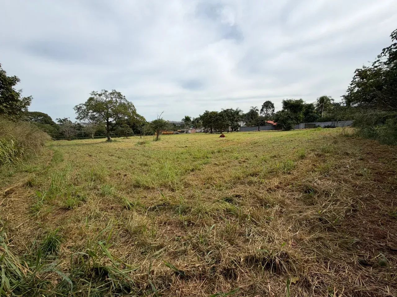 Vende-se área 8.500 m² - Foto 3
