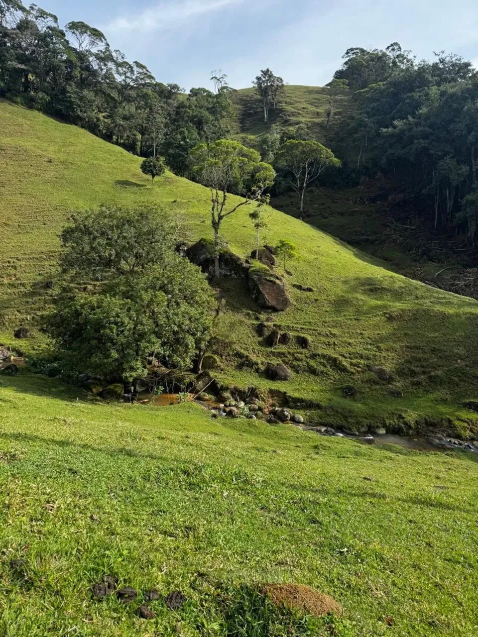 Sitio com Escritura Publica em Águas Mornas - SC - Foto 5
