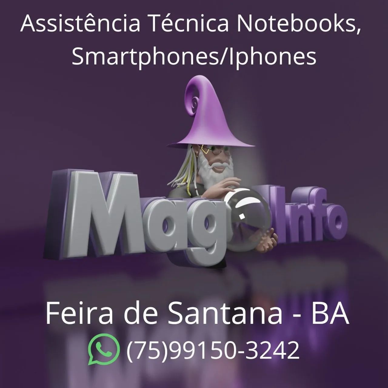 Assistência Técnica 
