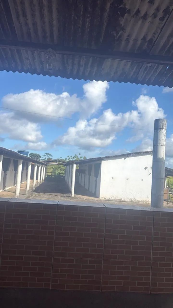 Rancho sítio  - Foto 5