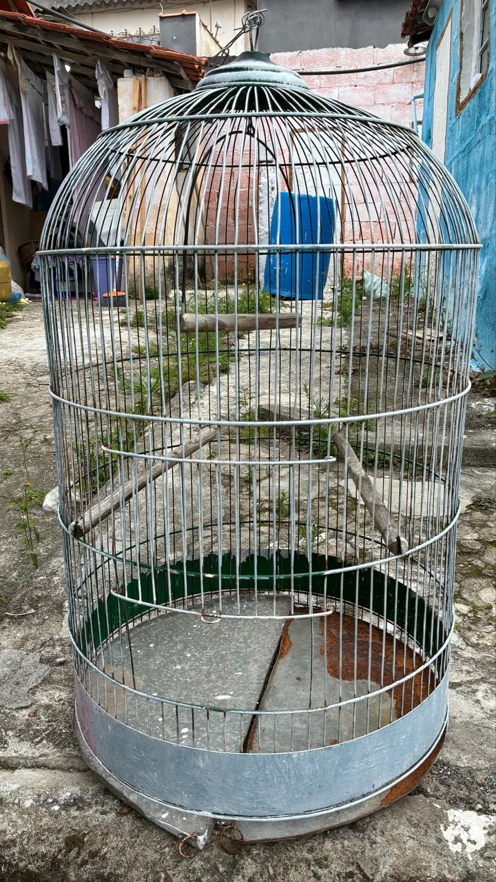 Gaiola em bom estado - Foto 4