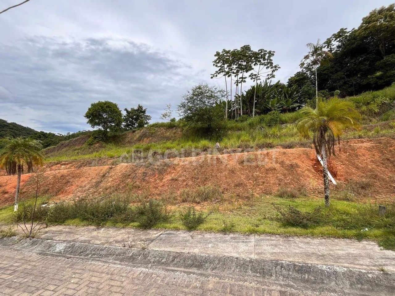 Terreno à venda, Bateas - Brusque/SC - Foto 4