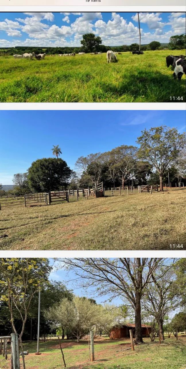 Fazenda próximo Uberlândia 93 hectares  - Foto 5