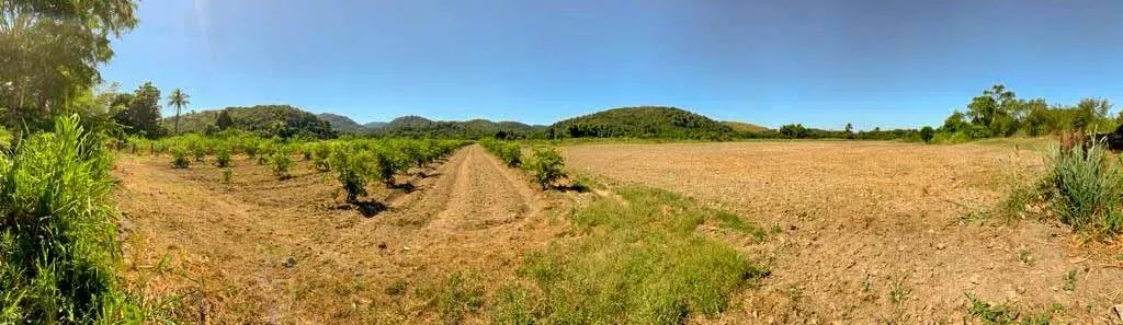 Área para venda em Piabetá - Foto 4