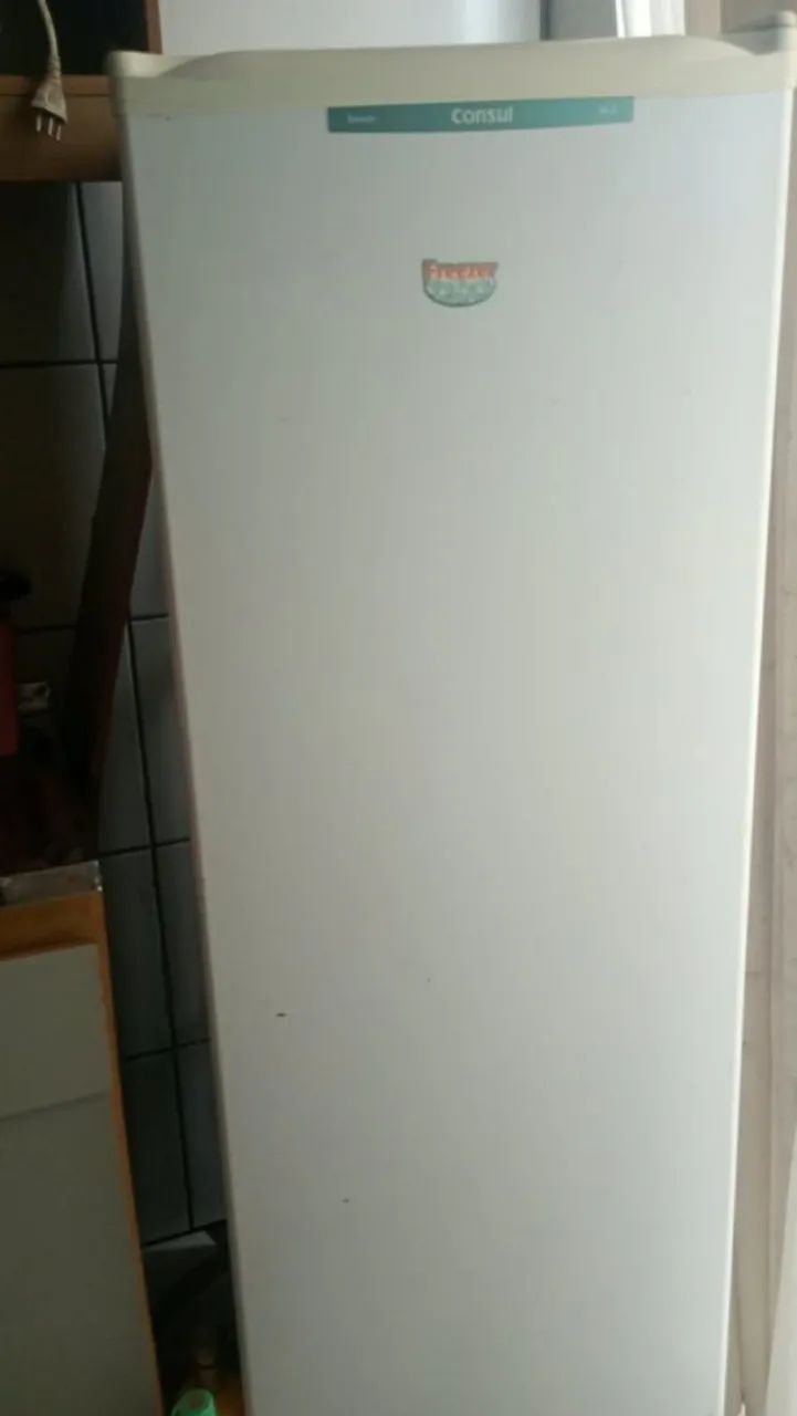 Freezer vertical 