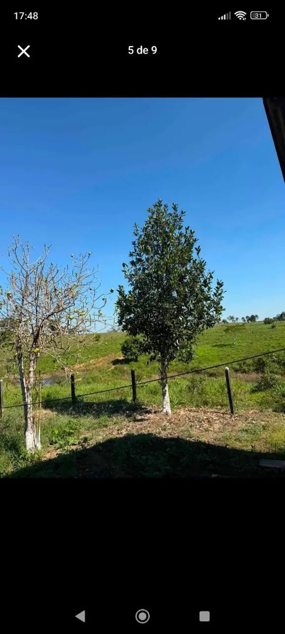 vende-se Sitio  - Foto 5