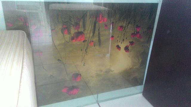 Quadro decorativo de vidro 80x60