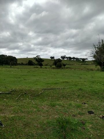 02 Terrenos de 360m² - São Vicente - Araruama - - Foto 3