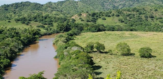 Fazenda 96,8 hectares - São Jose Safira, região de Governador Valadares/MG